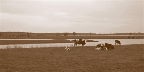 Presenting book "Designing in coexistence - reflections on systemic change"